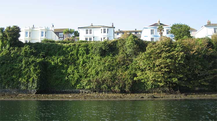 Stratton Terrace and the foreshore and green bank